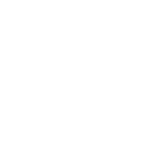 ssl_icon_wit